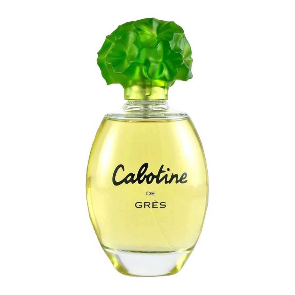 Eau De Toilette Spray 3.4 Ounce Y209