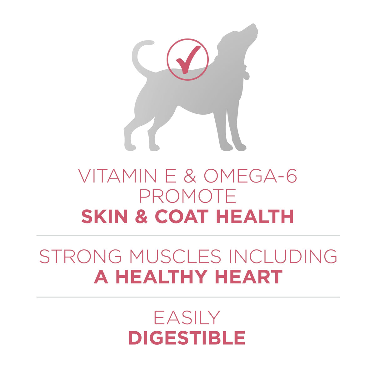 Sensitive Stomach Dry Dog Food 8 lb Bag X5181