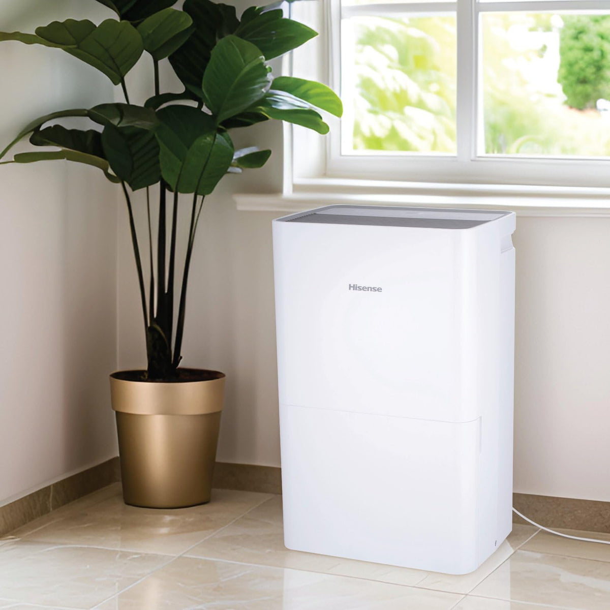 50-Pint Portable Dehumidifier M94189