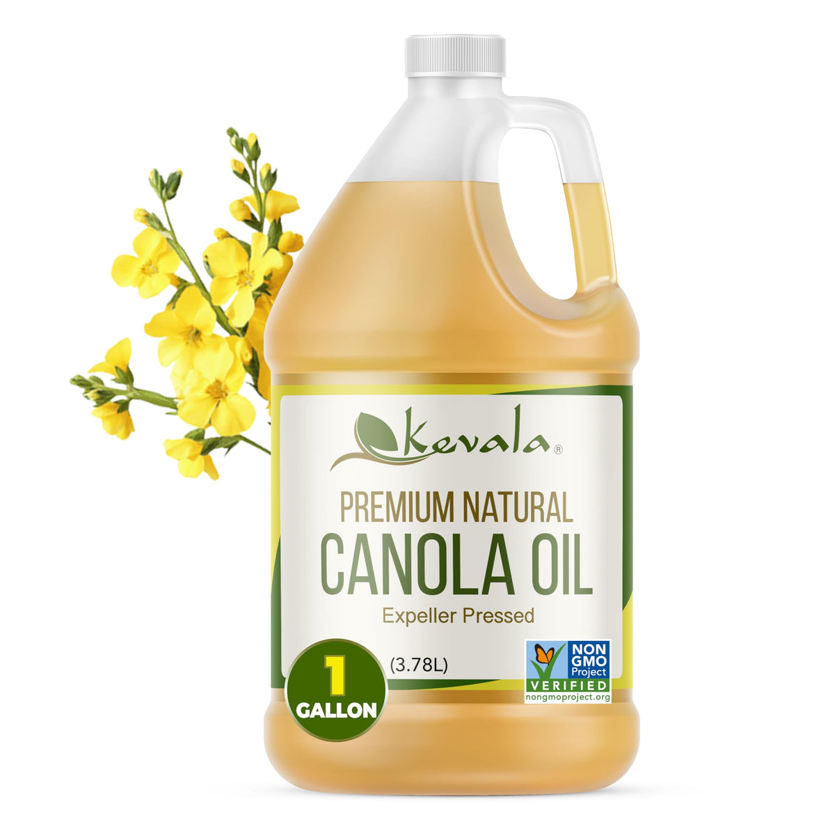 Canola Oil 1 gal A969758