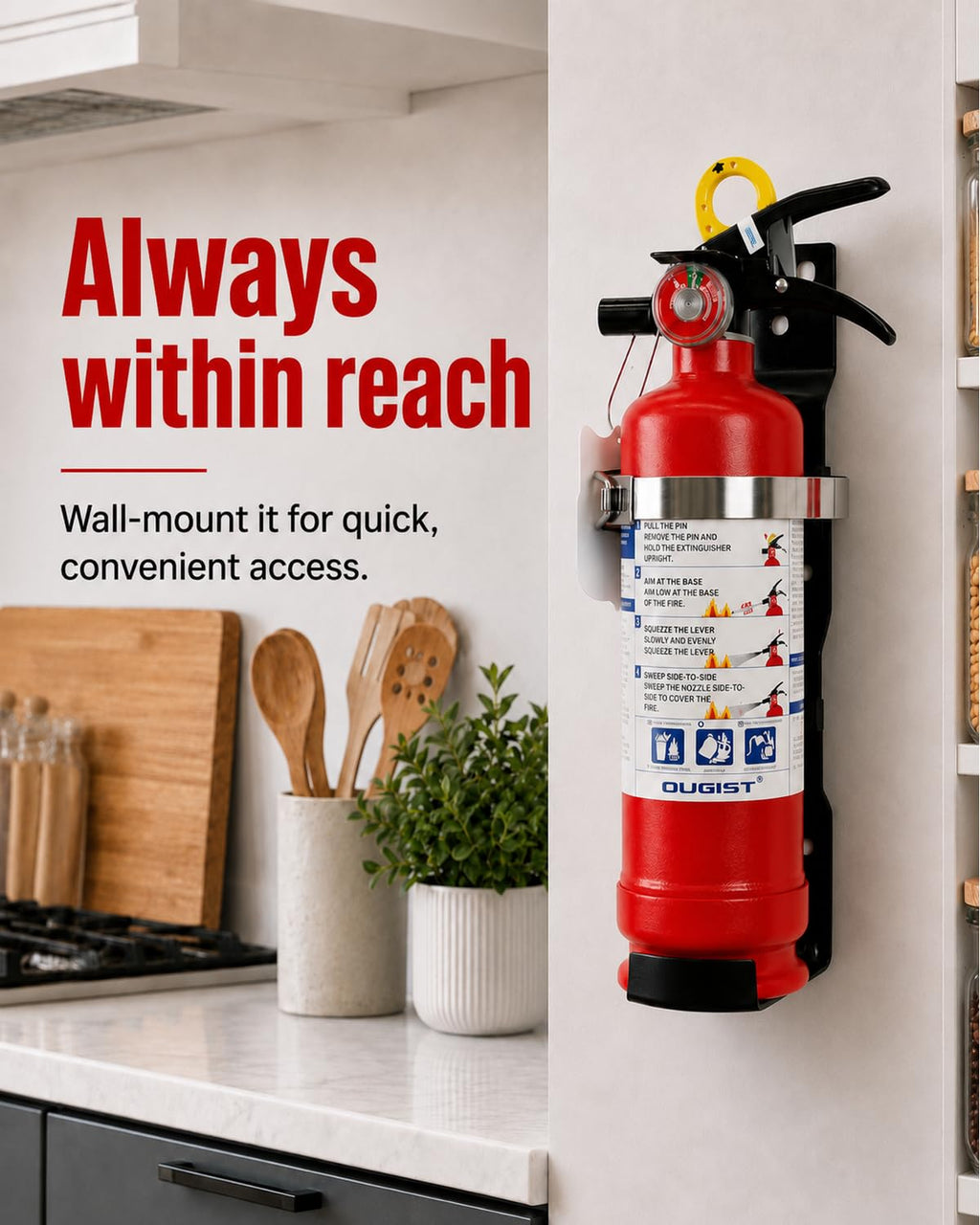 2.5 lb ABC Dry Chemical Fire Extinguisher with Wall Mount Q44943