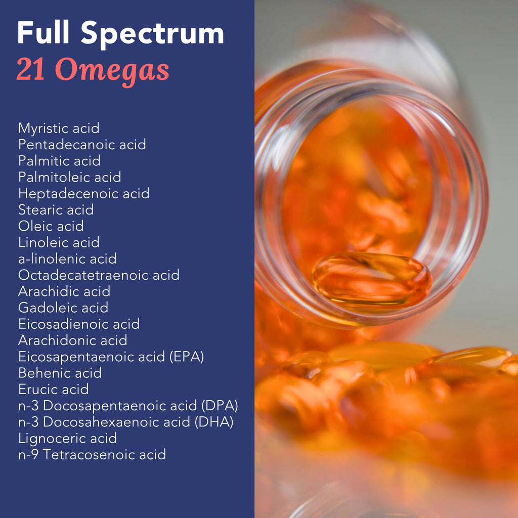 Omega 3 Fish Oil 1000mg 90 Capsules W32604
