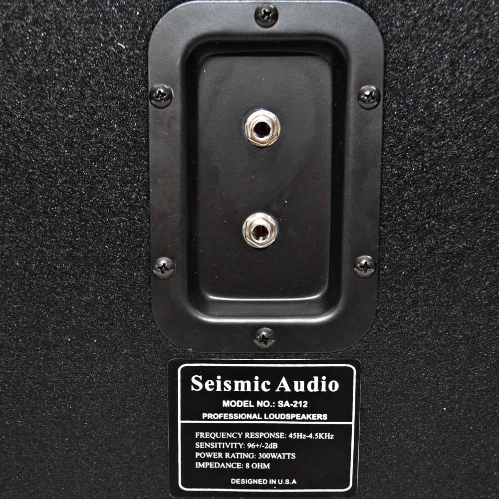 Empty 2x12 Guitar Speaker Cabinet P98900
