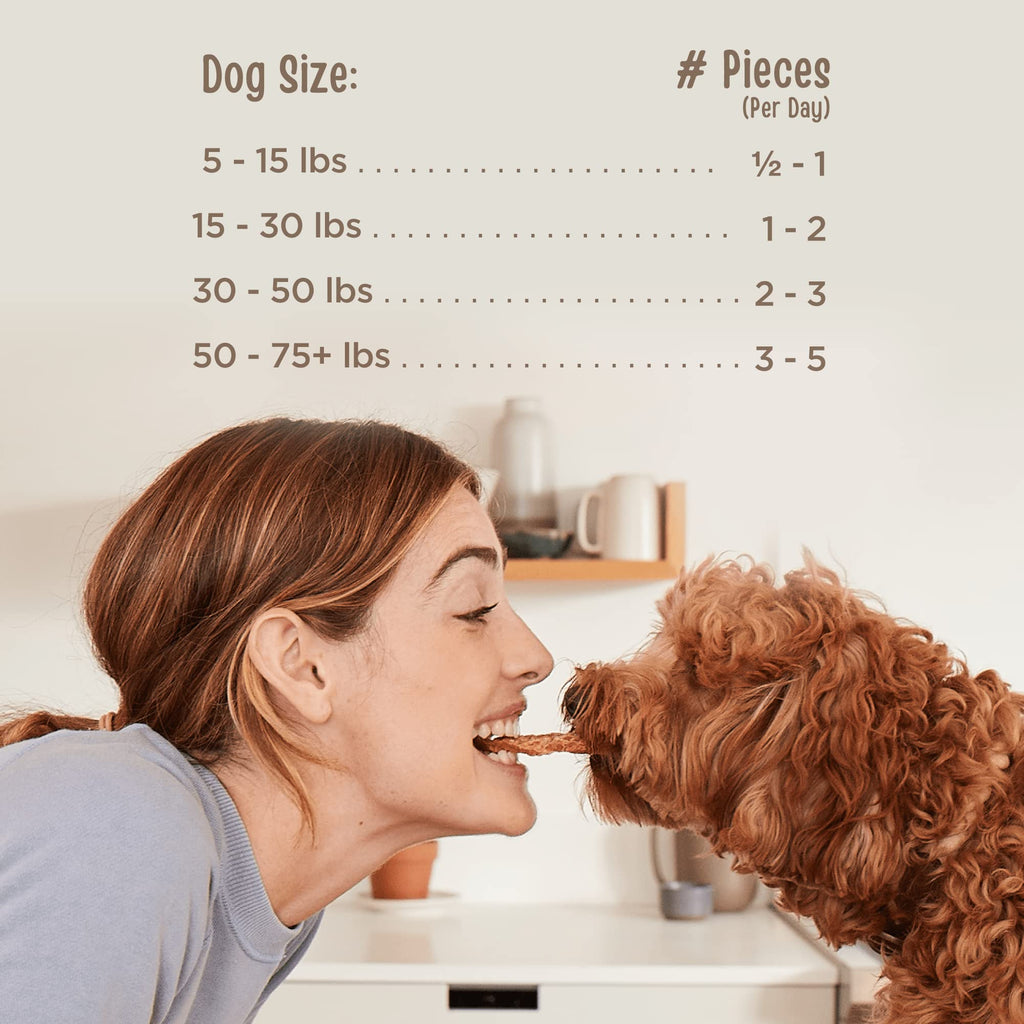 Chicken Jerky Tenders Dog Treats 26 oz D207227