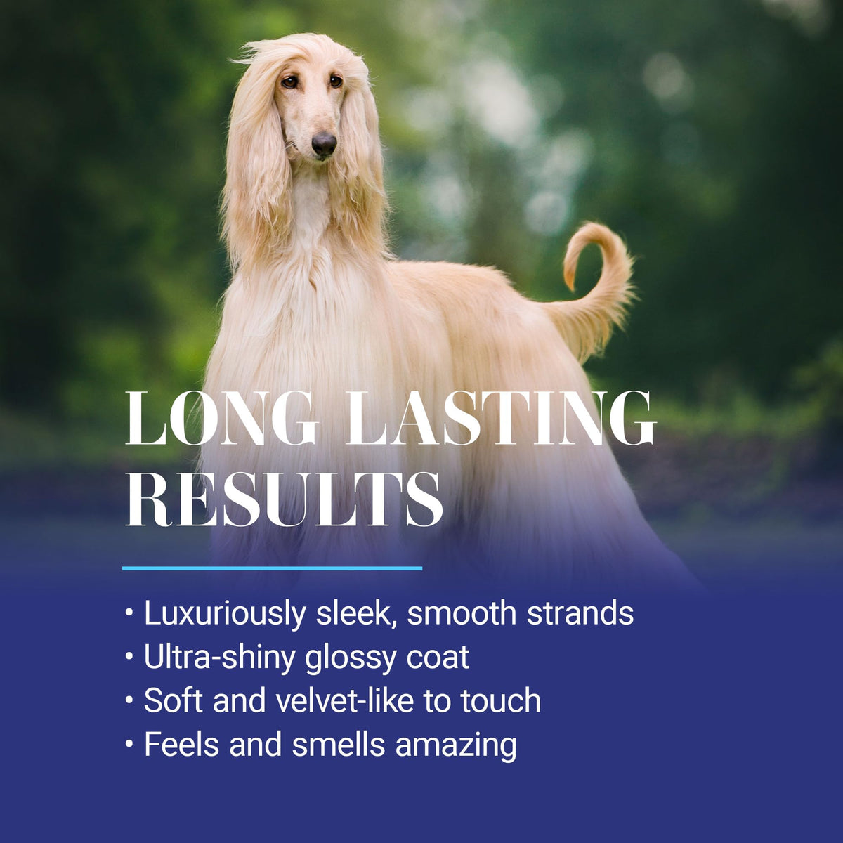 16oz Dog Conditioner Z7031