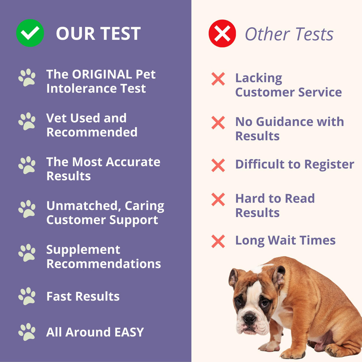 Pet Intolerance Test Dogs & Cats L191270