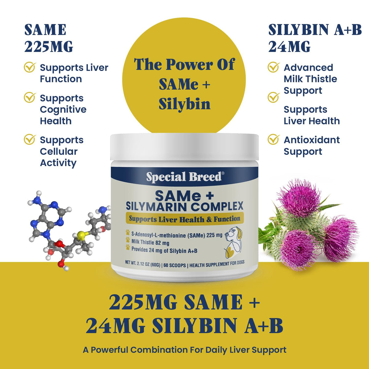 Milk Thistle Supplement Powder Z10664