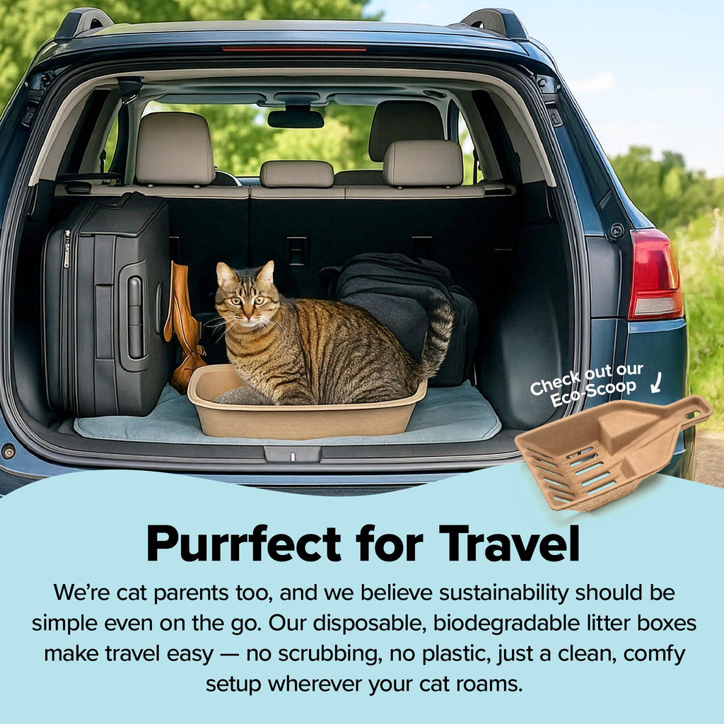 Large 6 Count Disposable Cat Litter Box W360936