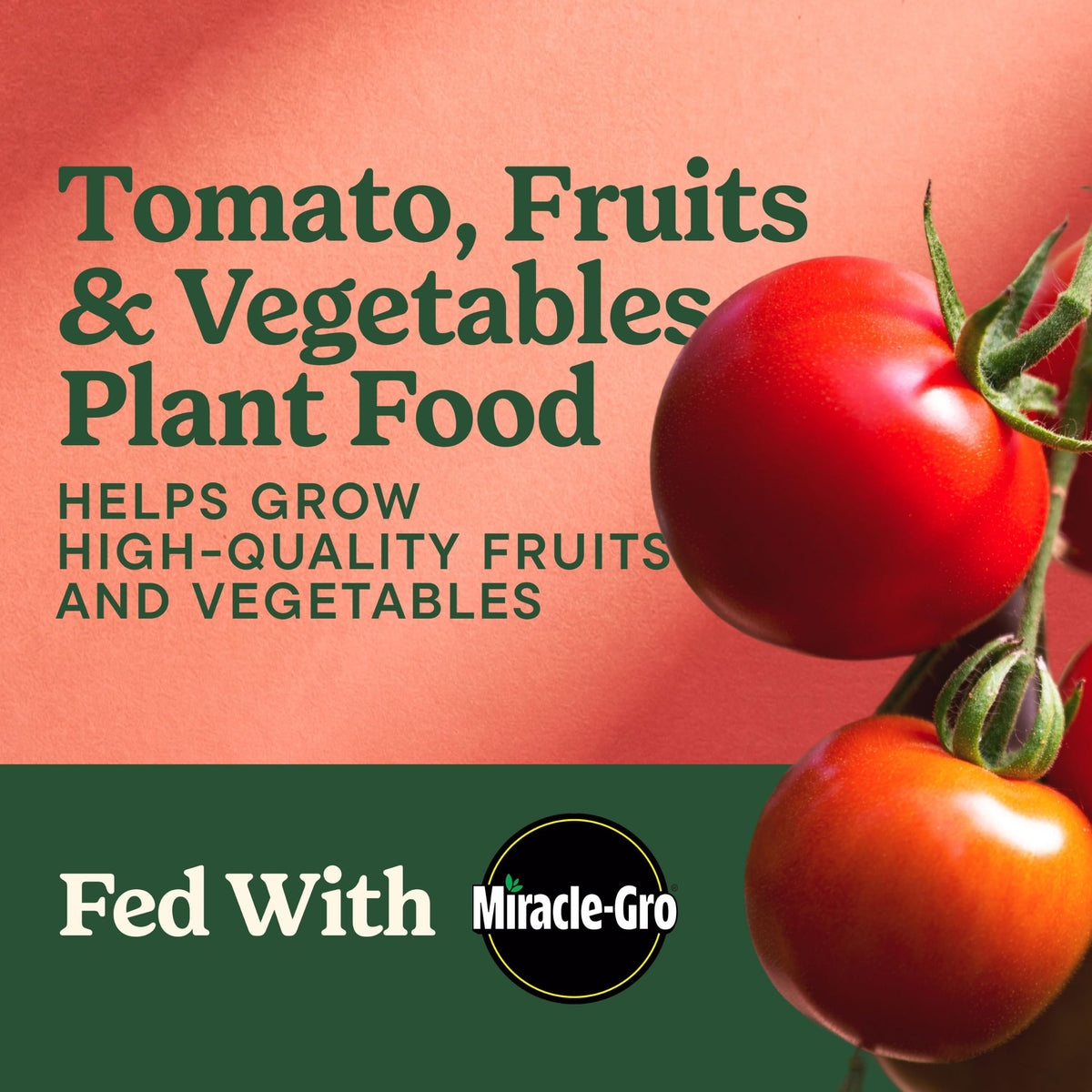 Tomato Fruits and Vegetables Plant Food 2-Pack A200279