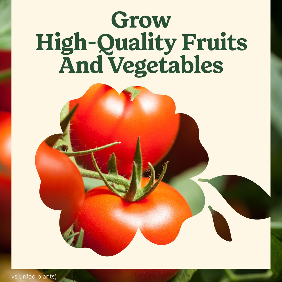 Tomato Fruits and Vegetables Plant Food 2-Pack A200279