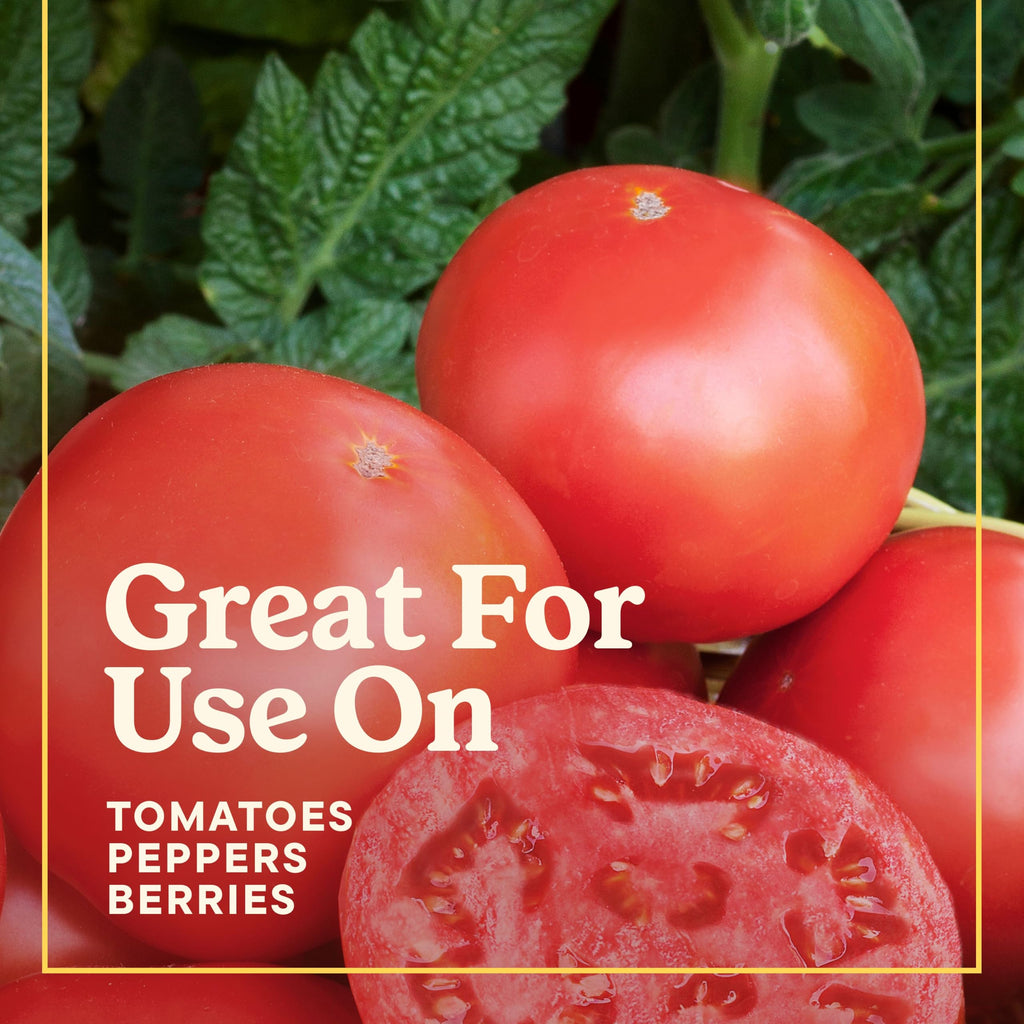 Tomato Fruits and Vegetables Plant Food 2-Pack A200279