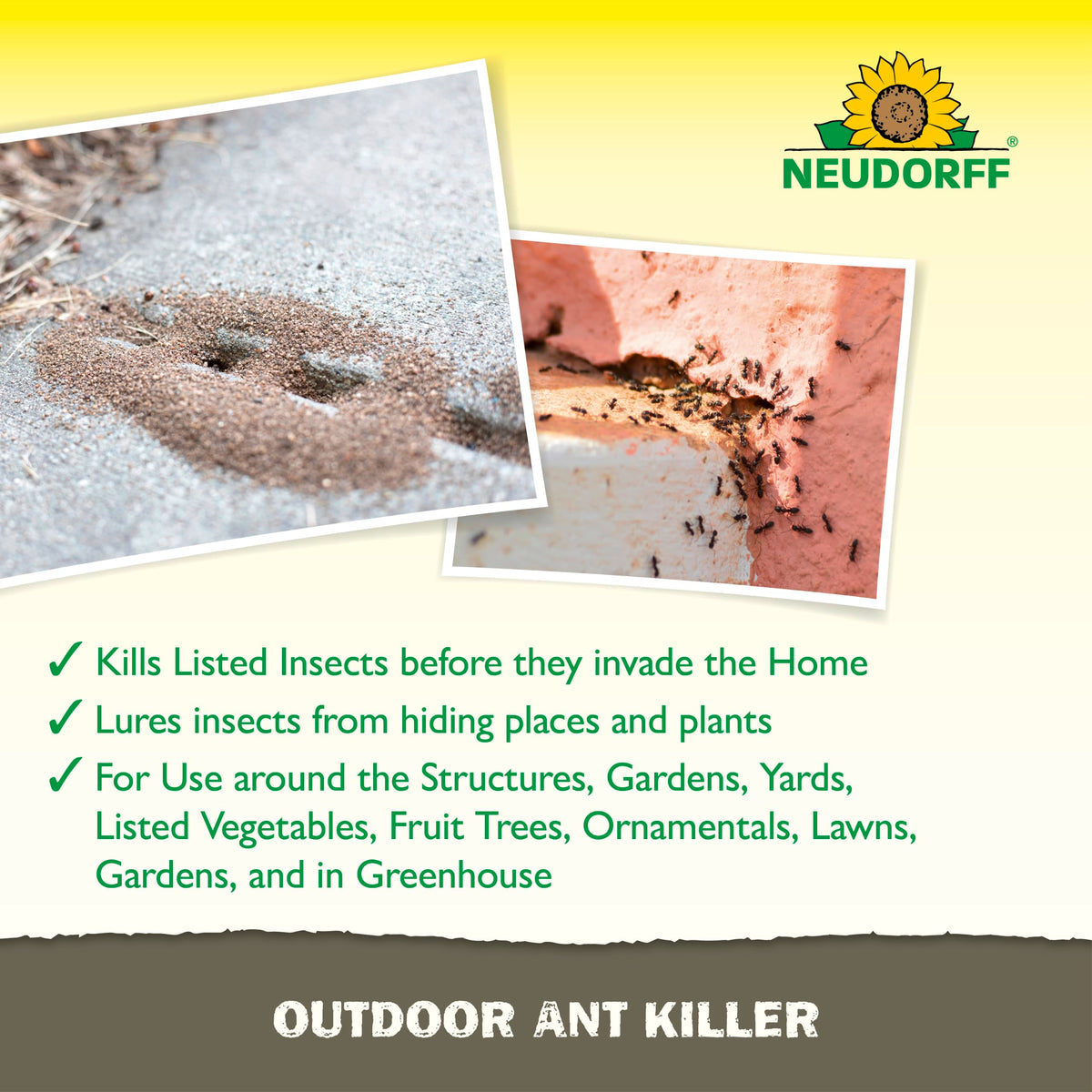 Outdoor Ant Bait Granules 1 LB A223