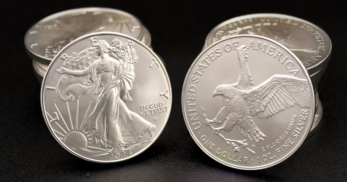 20 Silver American Eagle Coins E3868