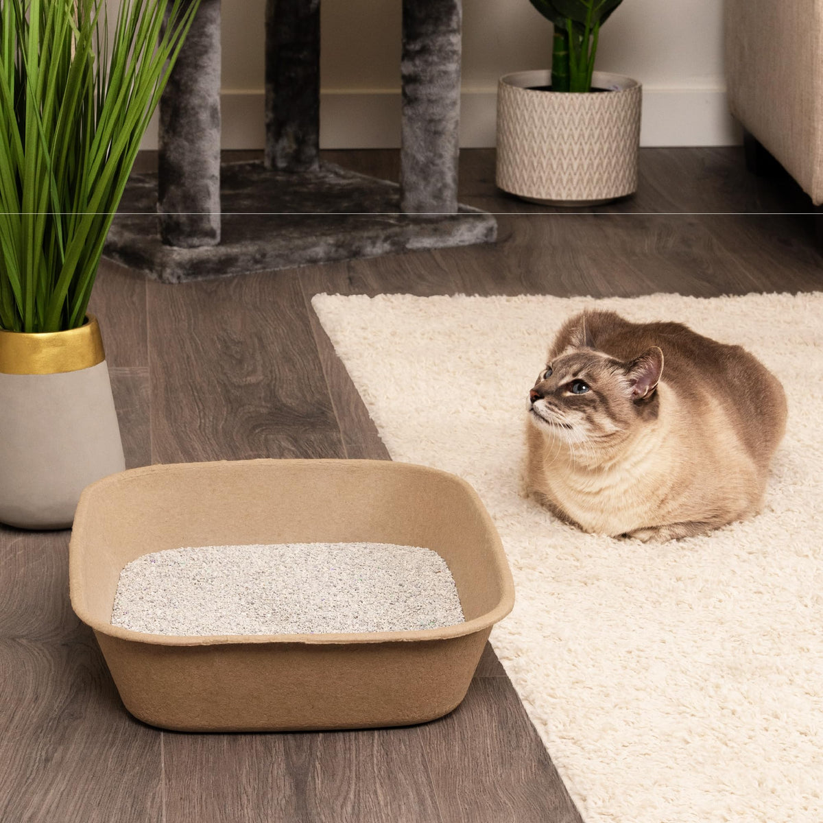Large 6 Count Disposable Cat Litter Box W360936