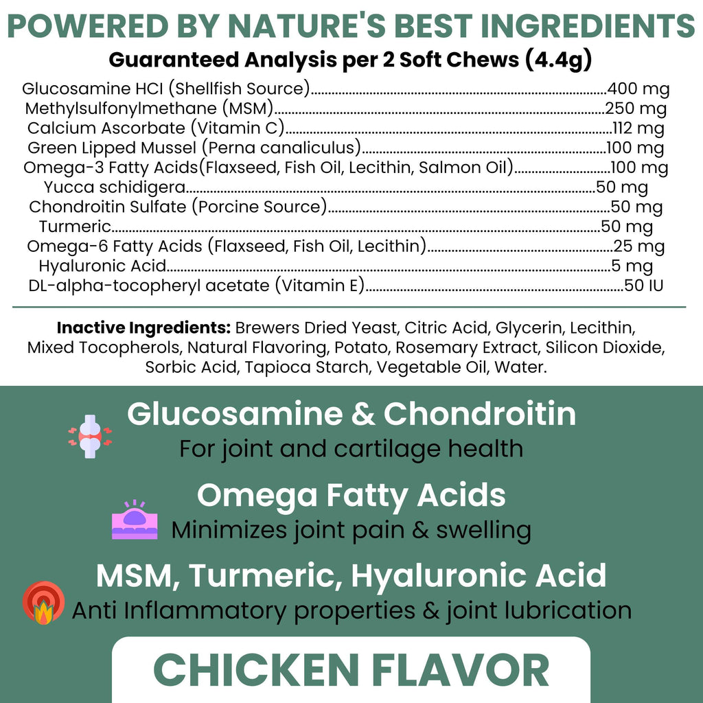 Glucosamine Hip and Joint Supplement 120 Chews Y831