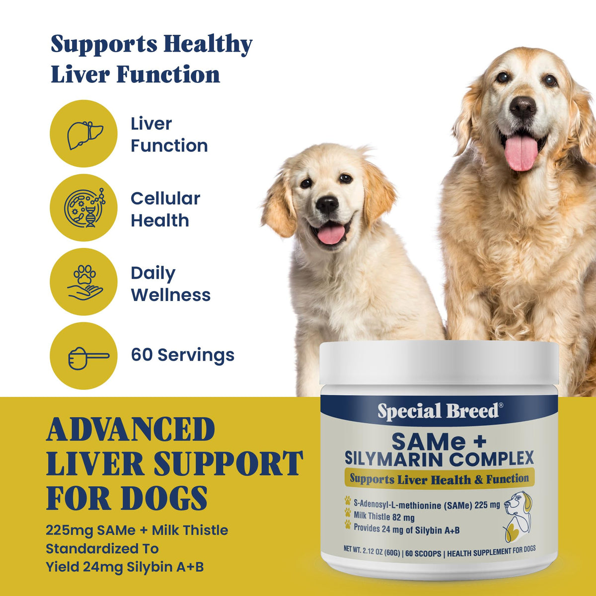 Milk Thistle Supplement Powder Z10664