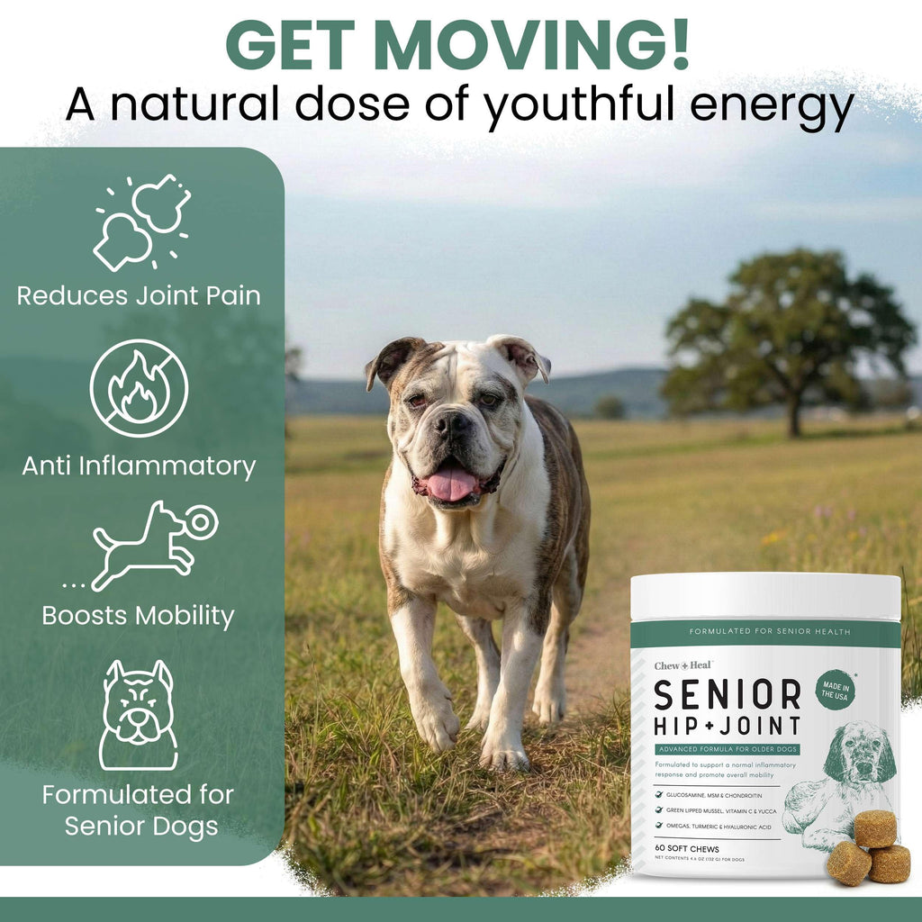 Glucosamine Hip and Joint Supplement 120 Chews Y831