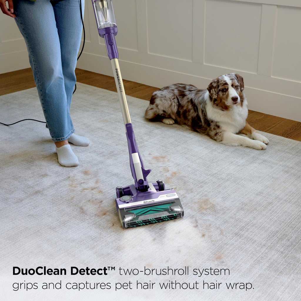 Corded Stick Vacuum P24830