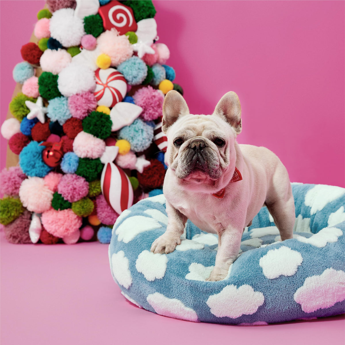 Blue 30x30x8in Dog Bed U89801