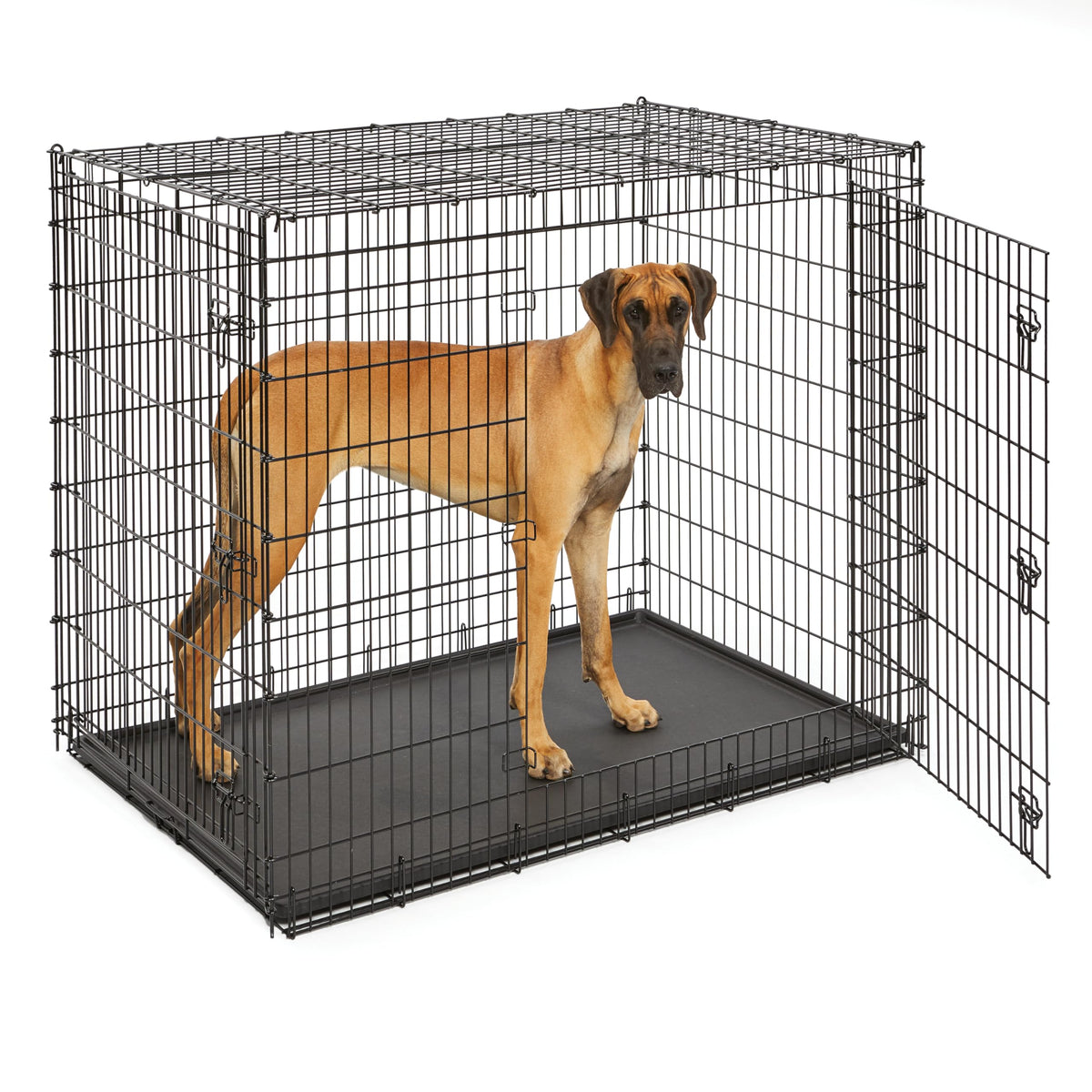 54-Inch Double Door Crate D796